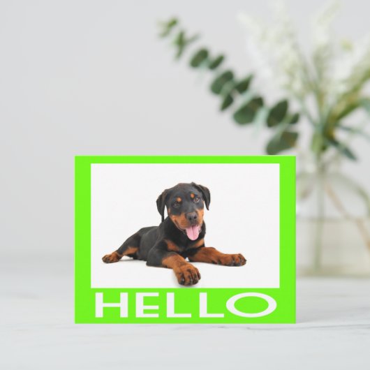 Carte Postale Bonjour Rottweiler Chien Chien Chien Chien Chien S (Debout devant)