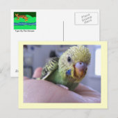 Carte Postale Bonjour Rufus (Devant / Derrière)