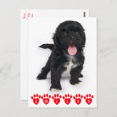 Carte Postale Bonjour Sourires Shih Tzu Chien Noir Et Blanc Chie (Devant / Derrière)
