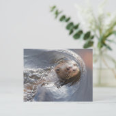 Carte Postale Bonjour vous (Debout devant)