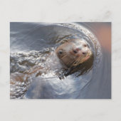 Carte Postale Bonjour vous (Devant)