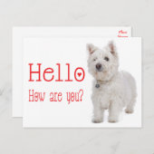 Carte Postale Bonjour White West Highland Terrier Chien chiot (Devant / Derrière)