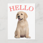 Carte Postale Bonjour Yellow Labrador Retriever Chien Chien Chie (Devant)