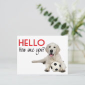 Carte Postale Bonjour Yellow Labrador Retriever Post Card (Debout devant)