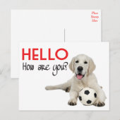 Carte Postale Bonjour Yellow Labrador Retriever Post Card (Devant / Derrière)