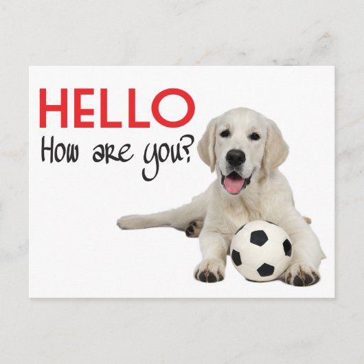Carte Postale Bonjour Yellow Labrador Retriever Post Card (Devant)