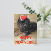 Carte Postale Bonne année !, (Debout devant)