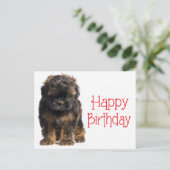 Carte Postale Bonne Anniversaire Havanais Chien Chien Chien Poig (Debout devant)