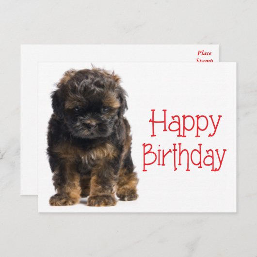 Carte Postale Bonne Anniversaire Havanais Chien Chien Chien Poig (Devant / Derrière)
