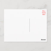 Carte Postale Bonne Anniversaire Havanais Chien Chien Chien Poig (Dos)