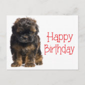 Carte Postale Bonne Anniversaire Havanais Chien Chien Chien Poig (Devant)