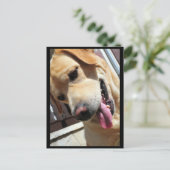 Carte Postale Bonne blague, mec ! (Debout devant)