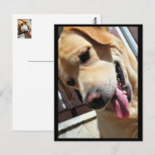 Carte Postale Bonne blague, mec ! (Devant / Derrière)