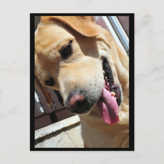 Carte Postale Bonne blague, mec ! (Devant)