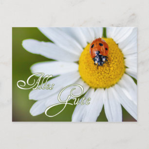 Carte Postale Bonne chance avec coccinelle de la chance