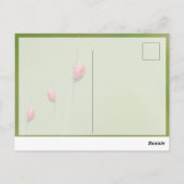 Carte Postale Bonne chance avec les petites coccinelles mignonne (Dos)