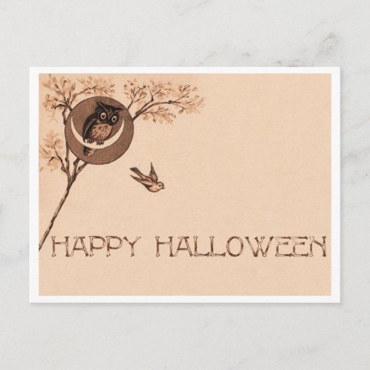 Carte Postale Bonne Chouette d'Halloween (Devant)