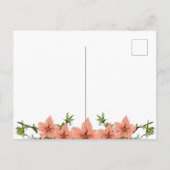 Carte postale - Bonne fête des mères (Dos)