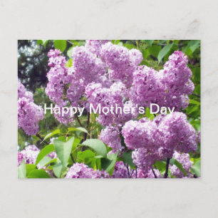 Carte Postale Bonne fête des mères - Lilac Bush