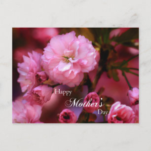 Carte Postale Bonne Fête des mères Printemps Fleurs de cerisiers