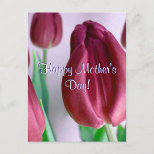 Carte Postale Bonne fête des mères Rosey Tulips