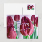 Carte Postale Bonne fête des mères Rosey Tulips (Devant / Derrière)