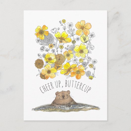 Carte Postale Bonne Guérison Marmotte Remonte le Moral, Boutons (Devant)
