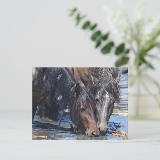 Carte Postale Bonne heure (Debout devant)