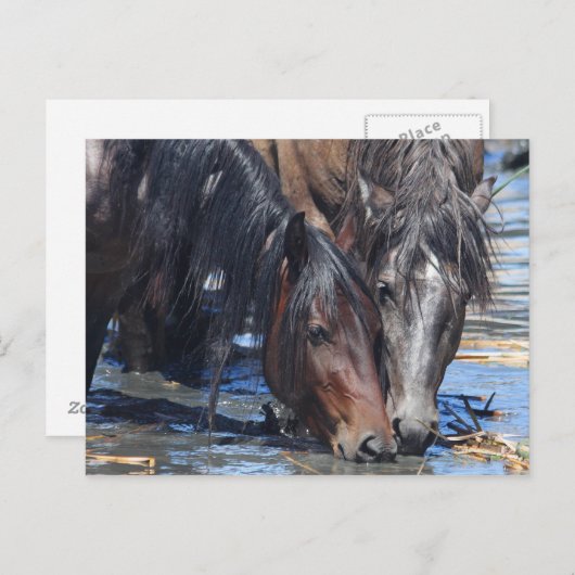 Carte Postale Bonne heure (Devant / Derrière)