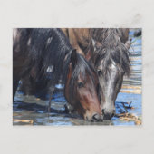 Carte Postale Bonne heure (Devant)