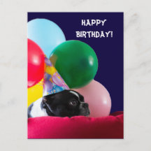 Bonne humeur de chien d'anniversaire avec des ball