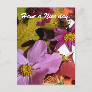 Carte Postale Bonne journée.