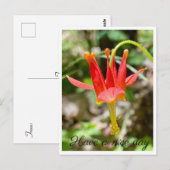 Carte Postale Bonne journée (Devant / Derrière)