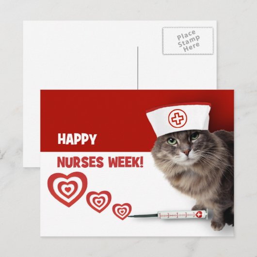 Carte Postale Bonne Semaine des infirmières. Funny Kitty (Devant / Derrière)