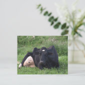 Carte Postale Bonne WI d'amorçage (Debout devant)