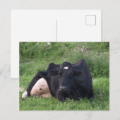 Carte Postale Bonne WI d'amorçage (Devant / Derrière)