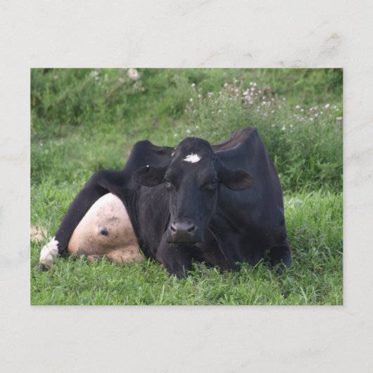 Carte Postale Bonne WI d'amorçage (Devant)