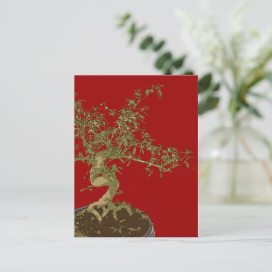 Carte Postale Bonsai (Debout devant)