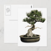 Carte Postale Bonsai (Devant / Derrière)