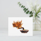 Carte Postale Bonsai 2 (Debout devant)