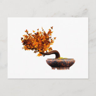 Carte Postale Bonsai 2