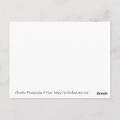 Carte Postale Bonté des boutons (Dos)