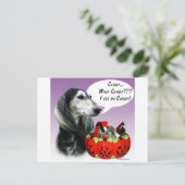 Carte Postale Bonus d'Halloween Saluki (Debout devant)