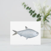 Carte Postale Bony Bream (Debout devant)