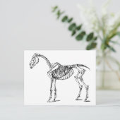 Carte Postale Bony Horse (Debout devant)
