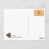 Carte Postale Boo Bug (Dos)