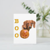 Carte Postale Boo Dachshund lisse (Debout devant)