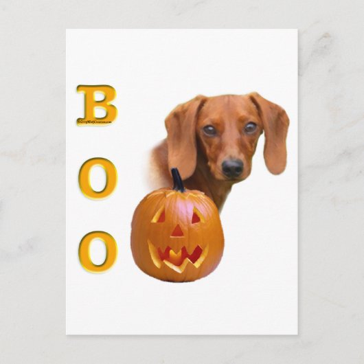 Carte Postale Boo Dachshund lisse (Devant)