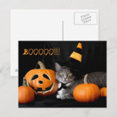 Carte postale Boo Halloween avec chat (Devant / Derrière)