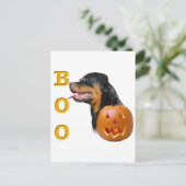 Carte Postale Boo Rottweiler (Debout devant)